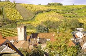 découvrez les Vignobles d'Alsace grâce à Trois Fois Vin