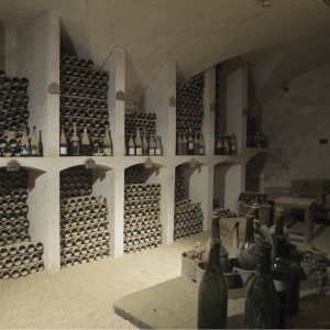 cave à vin pour conserver