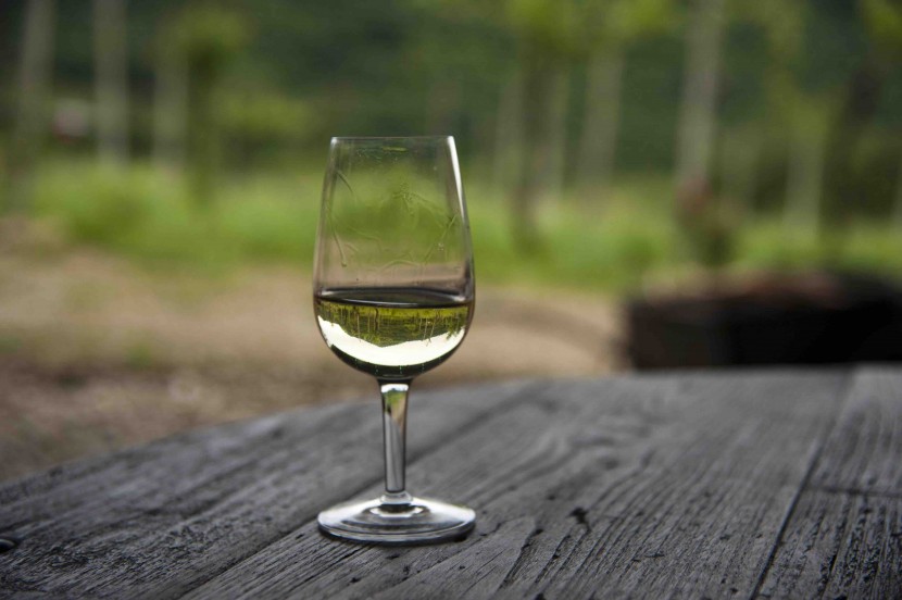 glass of white wine nature