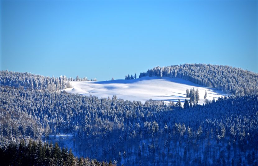 Quel vin après une journée de ski ?