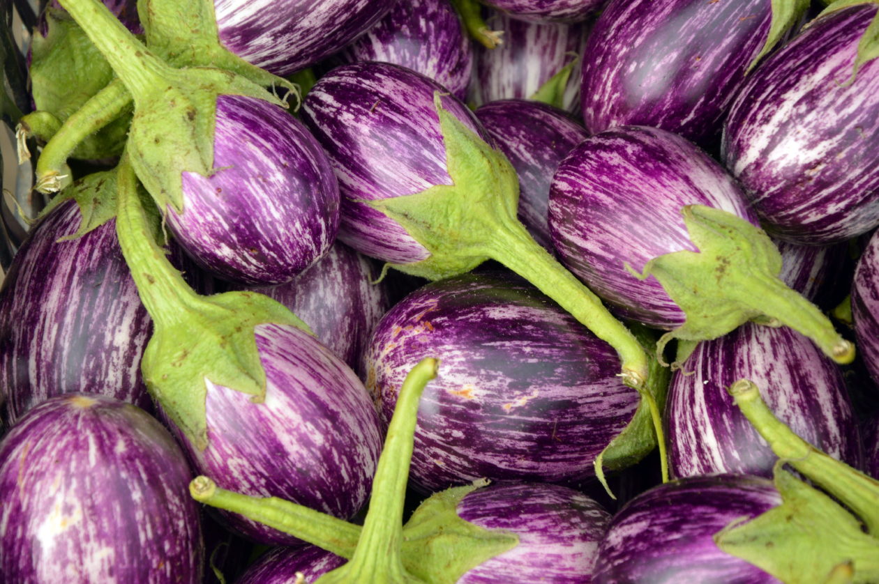 aubergine