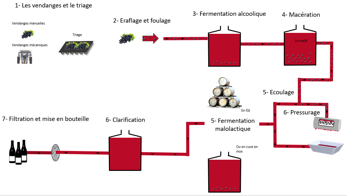 vinification-vin-rouge