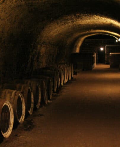 cave à vin pour conserver