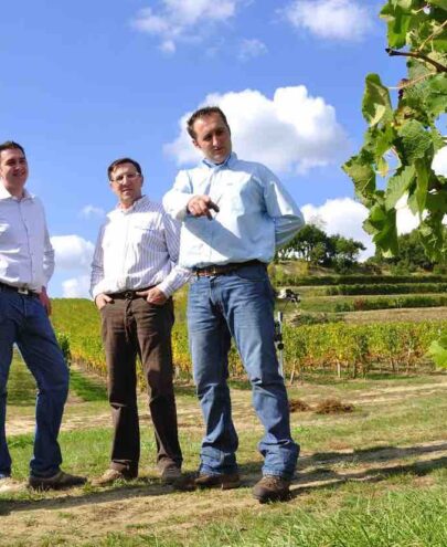 Famille Vignes