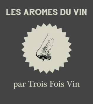 aromes vin degustation