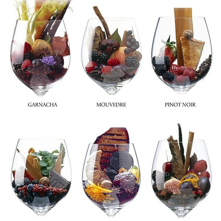 Les coffrets d'arômes du vin : entraîner son nez à reconnaître les parfums  du vin