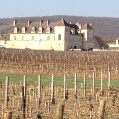 climats de Bourgogne-clos vougeot