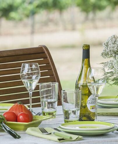 vins cotes gascogne