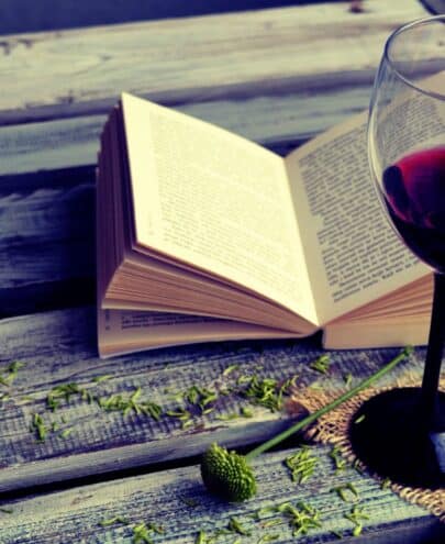 lecture vin livre