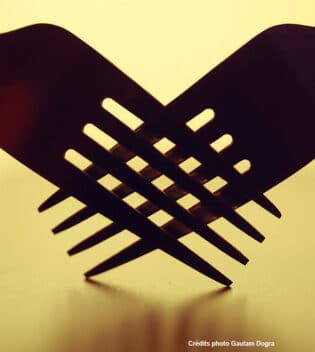 quel vin avec quel plat