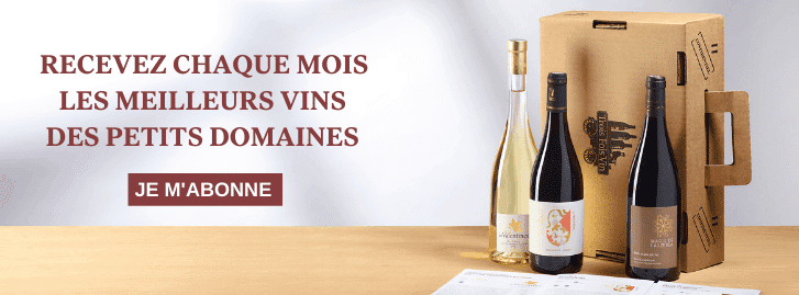 TOP 5 des meilleurs vins blancs fruités 