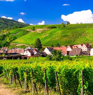 vignoble-alsace