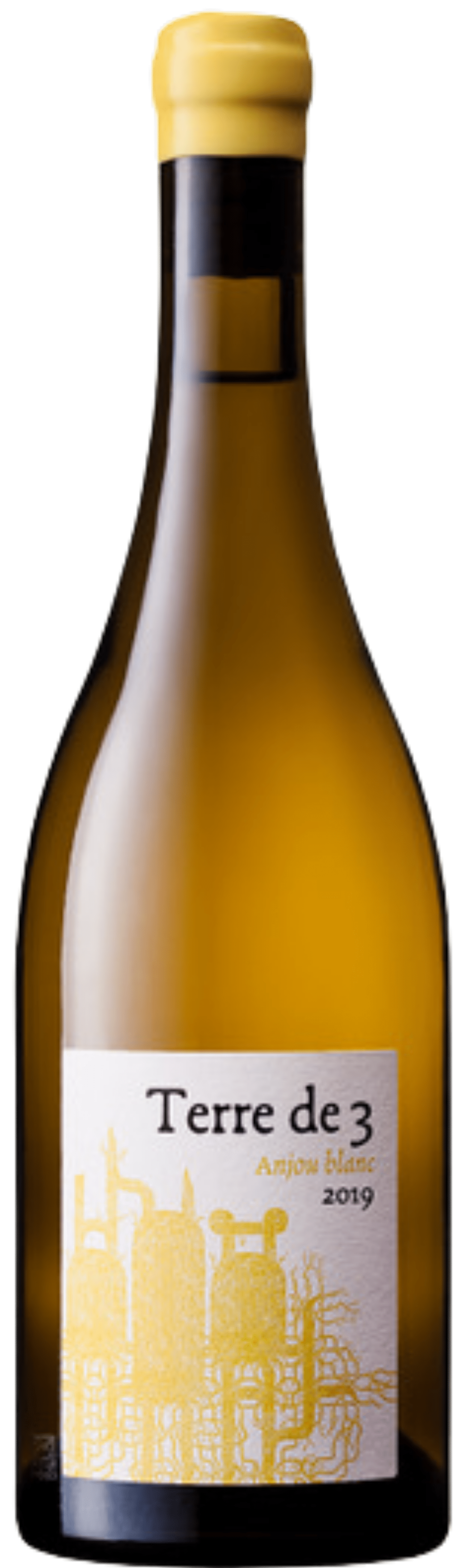 Terra Vita Vinum Le Réau anjou blanc 2024 Magnum main image 0