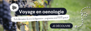 voyage en oenologie