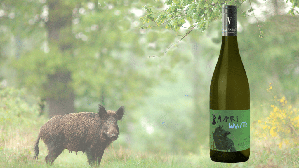 domaine valensac - bouteille barri white
