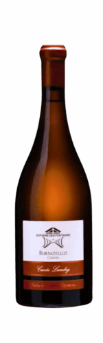 Domaine des Fontaines ANJOU 2022 Landry