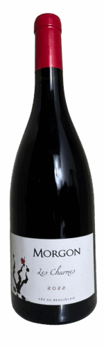 Domaine Girard MORGON 2022 Les Charmes