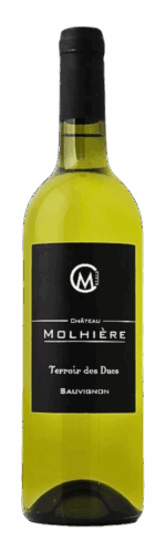 Domaine Molhière CÔTES DE DURAS 2025 Terroir des Ducs