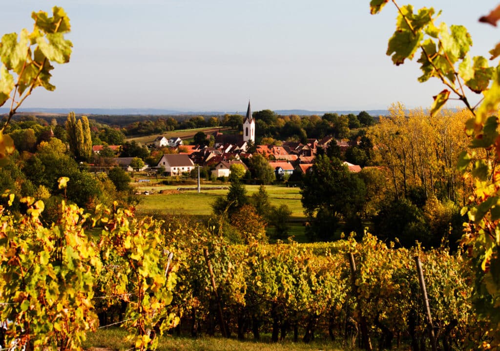 Vignoble et village en Vallée du Rhône