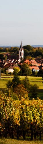 Vignoble et village en Vallée du Rhône